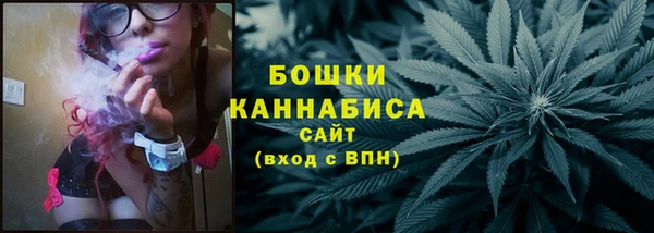 мдпв Осташков