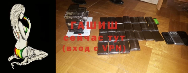 мдпв Осташков