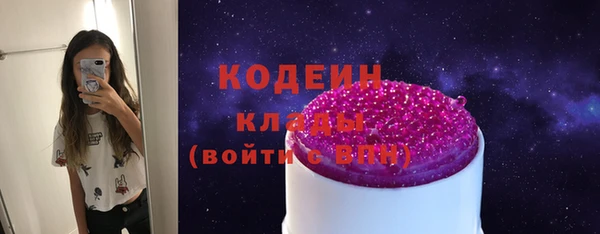 мдпв Осташков